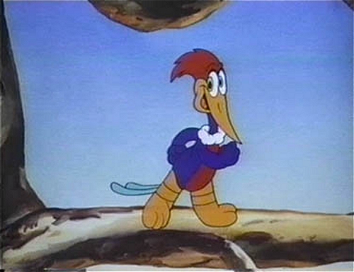 woody woodpecker in the 1940s